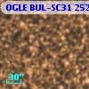 OGLE BUL-SC31 252770