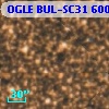 OGLE BUL-SC31  60070