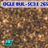 OGLE BUL-SC31 265462