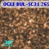 OGLE BUL-SC31 265400