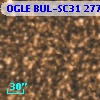OGLE BUL-SC31 277629