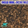 OGLE BUL-SC31  85232