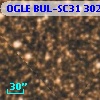 OGLE BUL-SC31 302460