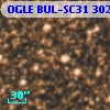 OGLE BUL-SC31 302463
