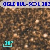 OGLE BUL-SC31 302428