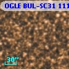OGLE BUL-SC31 111255