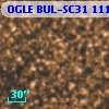 OGLE BUL-SC31 111254