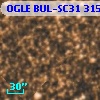 OGLE BUL-SC31 315076
