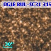OGLE BUL-SC31 315103