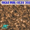 OGLE BUL-SC31 315055