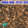 OGLE BUL-SC31 315053
