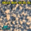 OGLE BUL-SC31 315063