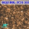 OGLE BUL-SC31 315062