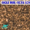 OGLE BUL-SC31 124573