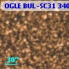 OGLE BUL-SC31 340798