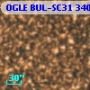 OGLE BUL-SC31 340731