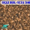 OGLE BUL-SC31 340728
