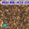 OGLE BUL-SC31 137683