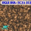 OGLE BUL-SC31 151495