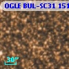 OGLE BUL-SC31 151574
