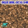 OGLE BUL-SC31 548137