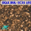OGLE BUL-SC31 193265