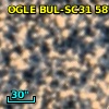 OGLE BUL-SC31 587644