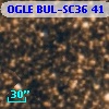 OGLE BUL-SC36     41