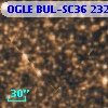 OGLE BUL-SC36 232719
