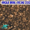 OGLE BUL-SC36 232778