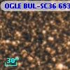 OGLE BUL-SC36 683089