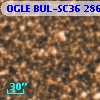 OGLE BUL-SC36 286177