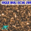 OGLE BUL-SC36 708849