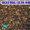 OGLE BUL-SC38 446886