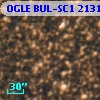 OGLE BUL-SC1 213110