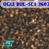 OGLE BUL-SC1  36032