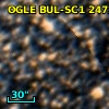 OGLE BUL-SC1 247219