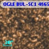 OGLE BUL-SC1 486584