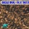 OGLE BUL-SC1 365710