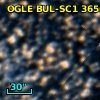 OGLE BUL-SC1 365687