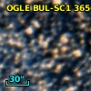 OGLE BUL-SC1 365685