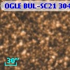 OGLE BUL-SC21  30448