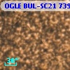 OGLE BUL-SC21 739874