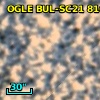 OGLE BUL-SC21 816917