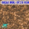 OGLE BUL-SC21 816880
