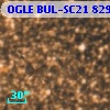 OGLE BUL-SC21 829896