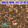 OGLE BUL-SC21 421556