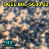 OGLE BUL-SC30  22831