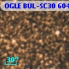 OGLE BUL-SC30 604331