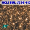 OGLE BUL-SC30 442959